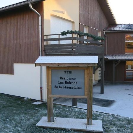 Apartment Location Les Balcons De La Mauselaine Gérardmer Zewnętrze zdjęcie